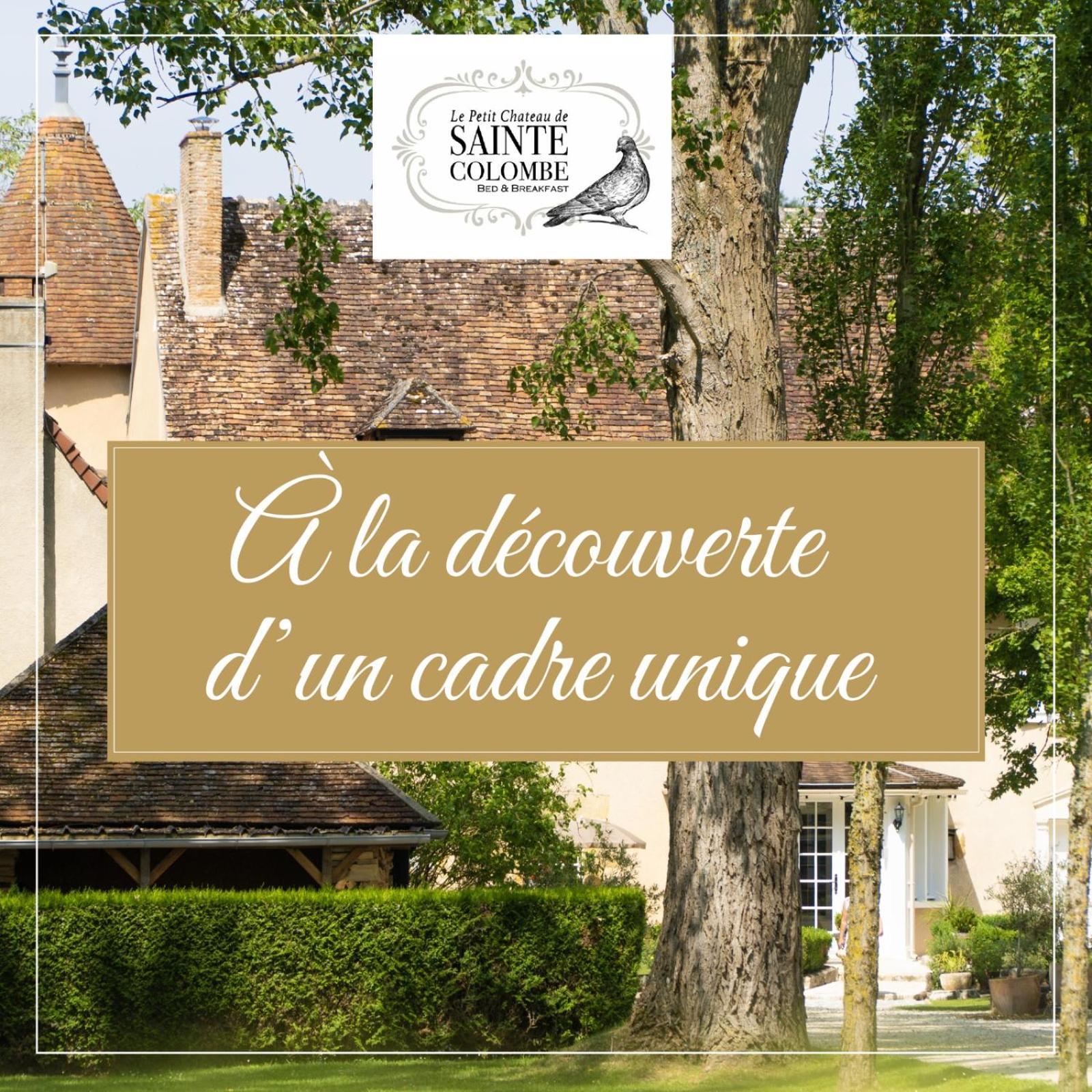 Bouges-le-Chateau Le Petit Chateau De Sainte Colombe المظهر الخارجي الصورة